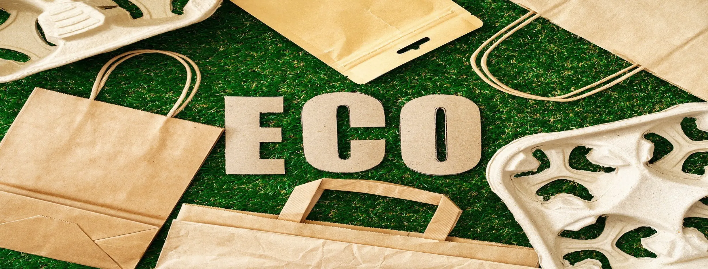 Image for EcoFriendly Lifestyle